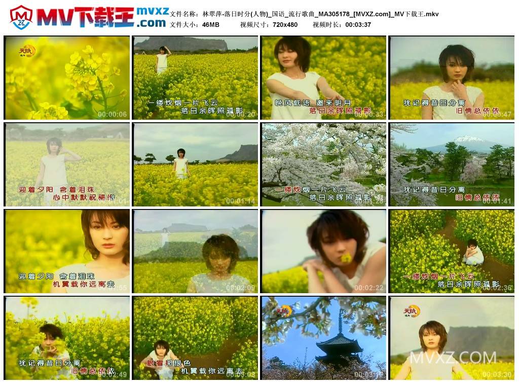 林翠萍-落日时分(人物)_国语_流行歌曲_MA305178